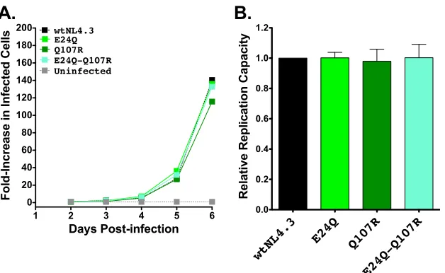 FIG 6 Replication capacities of NL4.3 viruses encoding B*13-associated polymorphisms in Nef