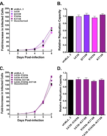 FIG 5 Replication capacities of NL4.3 viruses encoding B*13-associated polymorphisms in Pol