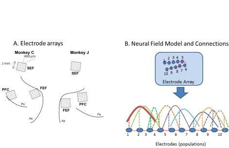 Figure 1. A. Recording setup. Three 32-electrode chronic microelectrode arrays were implanted in 
