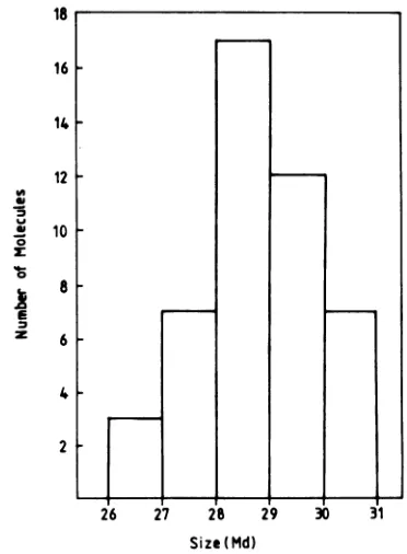 FIG.1.Tlcontractilewhole Electron micrograph showing purified bacteriophage CP- particles, with particles showing full and empty capsids withtails.Insert: drawing showing dimensions of CP-T1 particles (determined relative to phage SPP1)