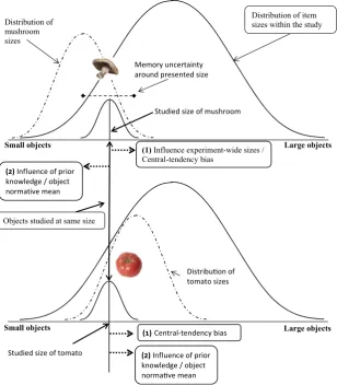 Fig. 3 Schematic representation of the levels of informationhypothetically contributing to the reconstruction of familiar objectsizes