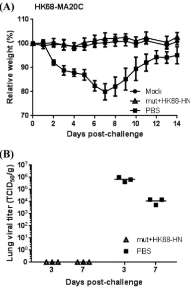 FIG 8 Expression of viral proteins in infected human A549 and DF1 cells. Cells were mock infected (mock) or infected with WT or 8-mut virus at an MOI of 5and harvested at the indicated time points