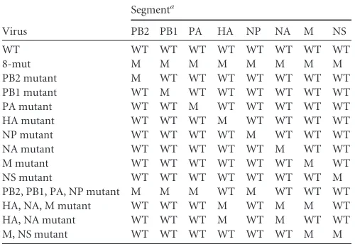 TABLE 3 Recombinant viruses obtained using BR59 as the masterdonor strain