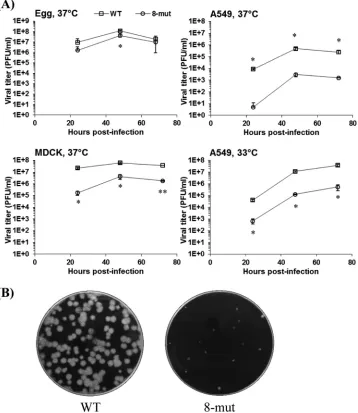 FIG 2 Growth properties of the codon bias mutant in mammalian and avian systems. (A) The growth kinetics of WT and 8-mut viruses were characterized inembryonated eggs (100 PFU) and MDCK cells (MOI � 0.001) at 37°C and A549 cells (MOI � 0.01) at 37°C and 33