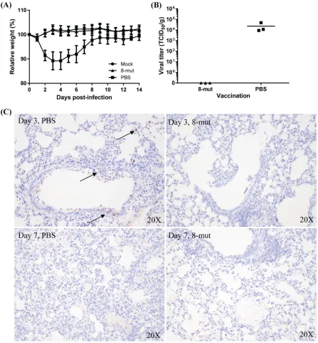 FIG 4 Protective effects caused by the 8-mut virus. BALB/c mice were vaccinated intranasally with PBS or 6.75monitored for 14 days, and data represent meansstandard TCIDvaccinated with PBS (left) or the 8-mut virus (right)