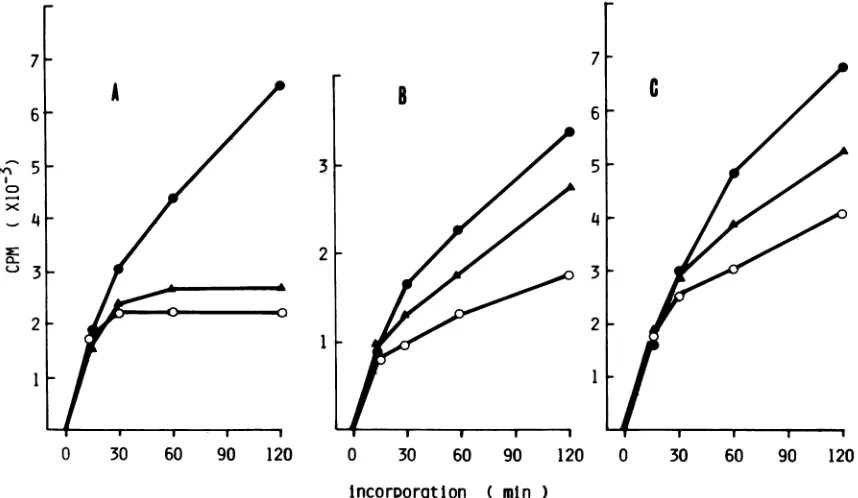 FIG.1.determined.was(B)replicationadapted Effect of temperature on [3H]GMP incorporation