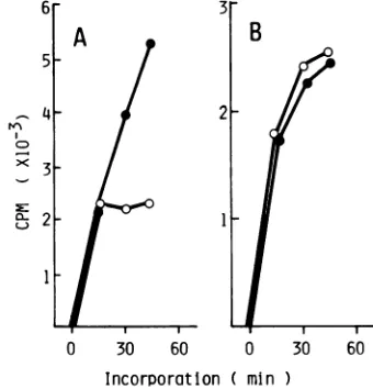 FIG. 3.containingperiodsRNaseindicate Sucrose density gradient analysis of products of the J670/71 replication complex