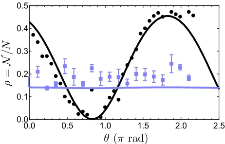 FIG. 4. The atom fraction in m = ±1 after 14 ms of evolutiontime versus the phase shift achieved by a microwave pulse.The ampliﬁer is seeded with 1.0% of the atoms in m = +1(blue squares) or with 1% of the atoms in each of m = ±1(black circles) out of N = 