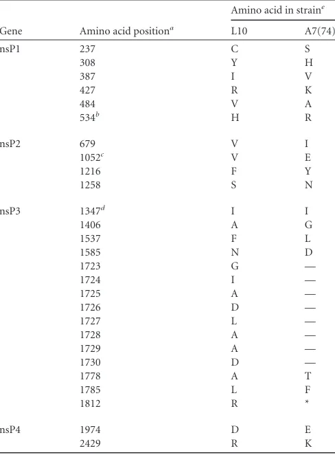 TABLE 1 Amino acid differences between ns polyproteins of L10 andA7(74)