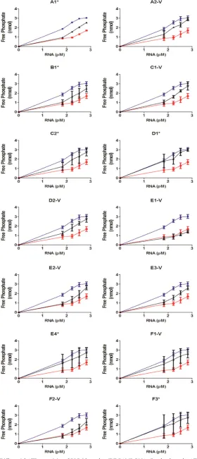 FIG 2 Differential ATPase activity of RIG-I bound to T/F PAMP RNA. Graphs show the ATPase activity of 5 pmol puriﬁed RIG-I protein incubated withincreasing amounts of RNA