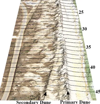 Figure 17: 3D IFImagery of souuthern region oof study site, deepicting a landdward secondarry dune systemm