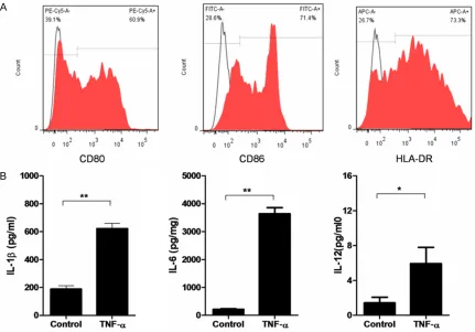 Figure 2. Immunophenotype of generated DCs by flow cytometry and cytokine release. A. After the 5 day incuba-tion with GM-CSF and IL-4, subsequently TNF-α pulsed for another 2 days, DCs showed that the maturation marker CD80, CD86 and HLA-DR expression wer