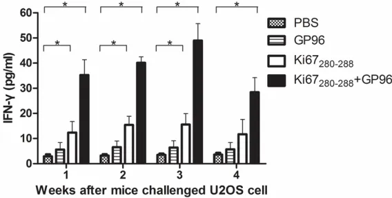 Figure 5. Anti-tumor response of Ki67 peptide-based vaccination in vivo. A. The phenotype of C57BL/6-Tg (HLA-A2.1) mice which were transgenic human HLA-A2 gene was determined by flow cytometry