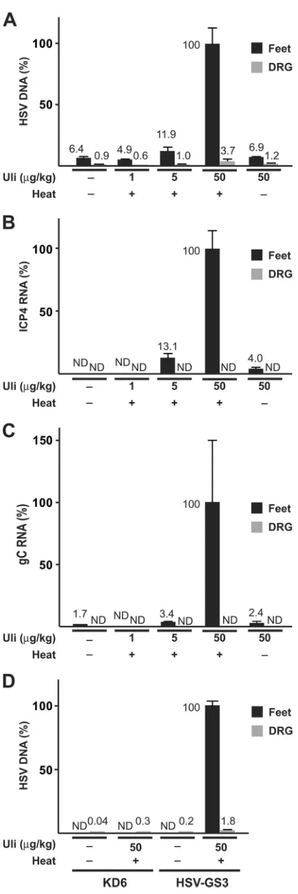 FIG 5 Regulation of HSV-GS3 DNA replication and transcription and com-parison of replicative yields between HSV-GS3 and KD6 in the mouse footpadmodel