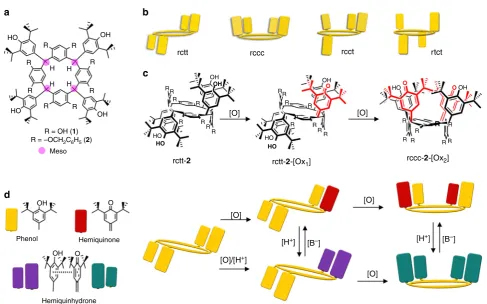 Fig. 2 Structures and graphical representation of the compounds.[Ox[Hblocks), and quinhydrone activity of the resulting compounds denoted by purple for rctt-resorcinarene based on the relative conformations of substituents.red in the line drawings