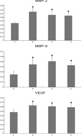 Figure 4. Immunohistochemistry quantitative analysis of MMP-2, MMP-9 and VEGF in different experimental groups was performed