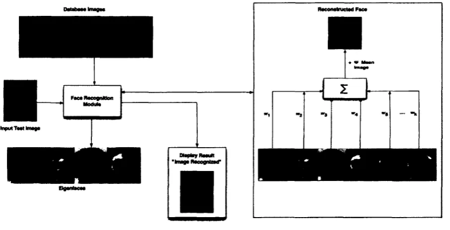 Figure 4.8: Eigenfaces Concept 
