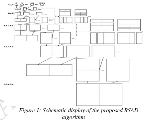 Figure 1: Schematic display of the proposed RSAD algorithm 