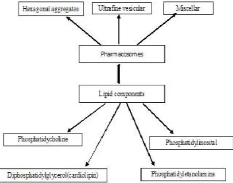 Fig. 1: Components of Pharmacosomes  