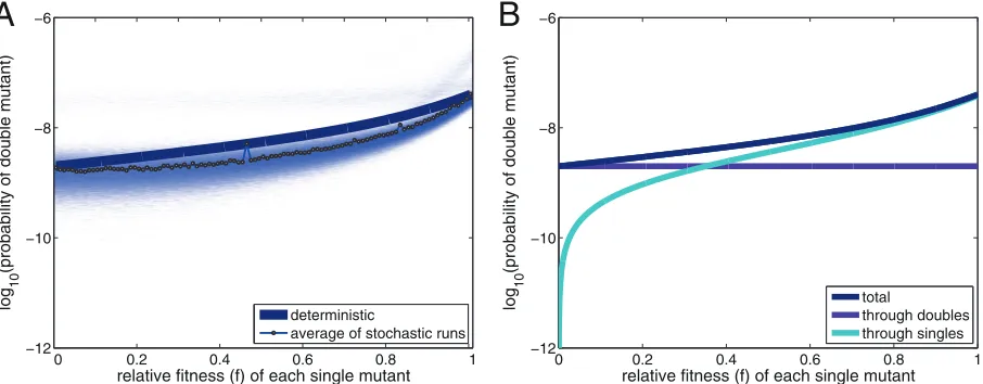 FIG 1 (A) The blue line shows the deterministic probability that any virion will be a double mutant (log10) as a function of the relative ﬁtness of the intermediatesingle mutants (a relative ﬁtness of 0 means that the single mutants are fully deleterious)