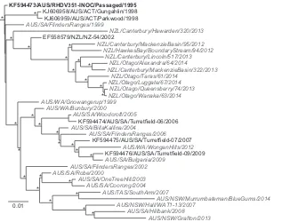 FIG 2 Phylogenetic analysis of RHDV from Australia and New Zealand using complete genome sequences