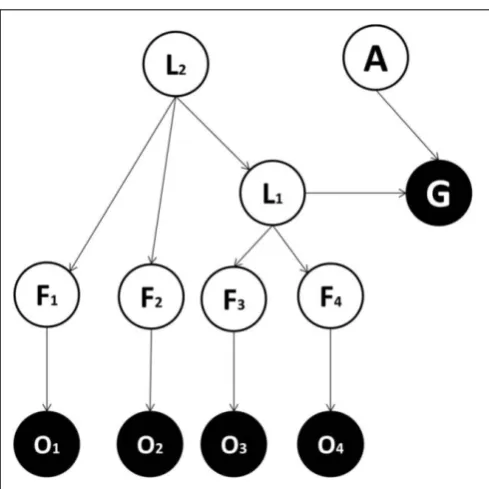 FIGURE 3 | Generative model used in the third implementation. This isthe same as the model used in the second implementation, except that itentails a hierarchical structure: L1 = lower-order latent variable, representingmore speciﬁc classes; L2 = higher-or