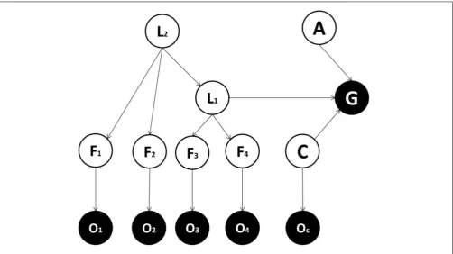 FIGURE 4 | Generative model used in the fourth implementation. This is the same as the model used in the third implementation except that it comprisescontextual effects: C = context variable; OC = the sensory evidence about the context variable.