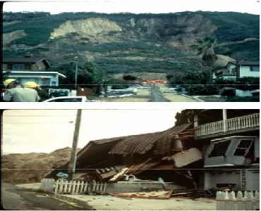 Figure 2.1. Landslide and loss due to it.  