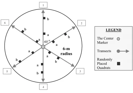Figure 2.1. The Sampling Plot Design. 