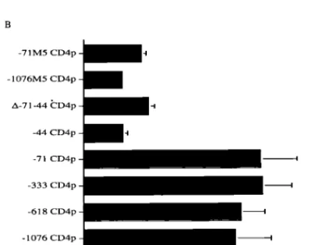 FIG. 3. (A) Schematic representation of wild-type (�troduced. The M5 mutation, which changes the putative ATF/CRE site (under-lined) of the wild-type sequence to TTTAAATT (double underline), is shown atthe bottom of the panel