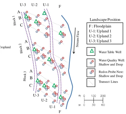 Figure 4.  Study site instrumentation. 