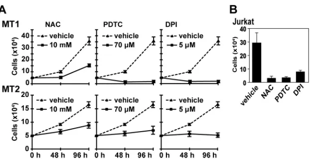 FIG 1 Effects of antioxidants and DPI on proliferation of HTLV-1-infected MT1 and MT2 cells