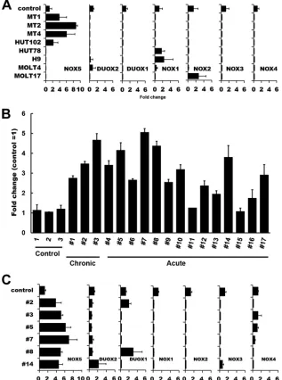 FIG 2 Analysis of Nox family expression in HTLV-1-infected T-cell lines and ATL PBMC. (A) Total RNAs were extracted from various HTLV-1-infected (MT1,expression in ATL primary cells (MT2, MT4, and HUT102) and HTLV-1-uninfected (HUT78, H9, MOLT4, and MOLT17