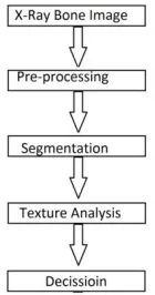 Fig. 2.  Image processing flow 