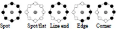 Fig 9: Different Texture Primitives detected by LBP  