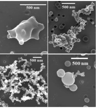 Figure 4: Soot Samples Viewed under Scanning Electron Microscope [28] 