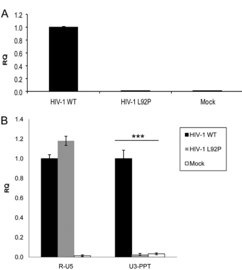 FIG 9 The RTN products generated 24 h postinfection in cells infected by theSD of three experiments