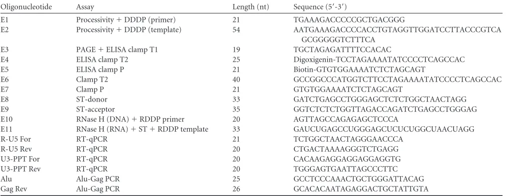 TABLE 1 Synthetic oligonucleotides used in this studya