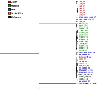 FIG 2 Boot-scanning analysis for evidence of recombination within HSV-2 strains. Shown is a boot-scanning plot of the HSV-2 reference sequence HG52(accession no