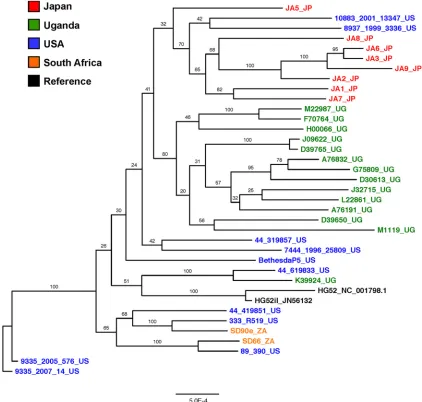 FIG 4 Phylogenetic relationships of HSV-2 genome sequences. Shown is a maximum-likelihood tree of 34 nearly full-length HSV-2 genome nucleotidesequences generated as part of this study and the publicly available HSV-2 sequences for HG52 (accession no