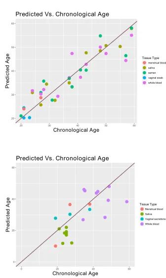 Fig. 1. Age prediction performance on the training (A) and validation dataset (B), based on the ten CpG markers elastic net model