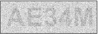 Fig. 16 - Final integrated output result from superimposing 10 CAPTCHA frames shown as an 8-bit/pixel greyscale image