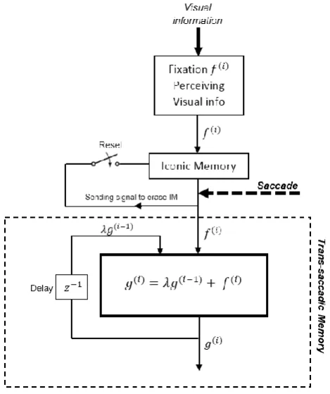Fig. 8 - The procedure of visual information integration using Trans-Saccadic Memory (Saadat Beheshti & Liatsis, 2015) 