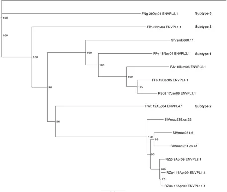 FIG 2 Phylogenetic tree of the SIVsm Env neutralization breadth panel. A neighbor-joining phylogenetic tree was created from completesequences using the Jukes-Cantor approach in Geneious R6 (v6.1.4) software and annotated in the FigTree (v1.4.0) program