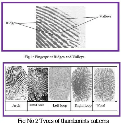 Fig. No 1 Sample Fingerprints  