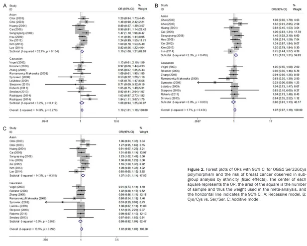 Figure 2. Forest plots of ORs with 95% CI for OGG1 Ser326Cys polymorphism and the risk of breast cancer observed in sub-group analysis by ethnicity (fixed effects)