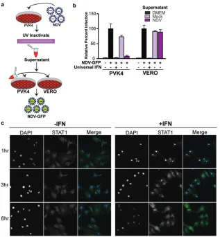 TABLE 1 mRNA-seq reads from NDV-infected PPVK cells