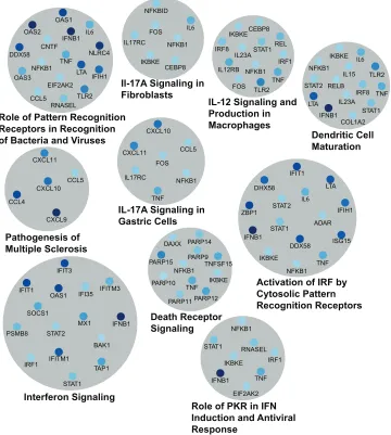 FIG 3 Canonical pathways enriched during NDV infection. Genes upregulated during NDV infection were clustered using the Ingenuity pathway analysissoftware