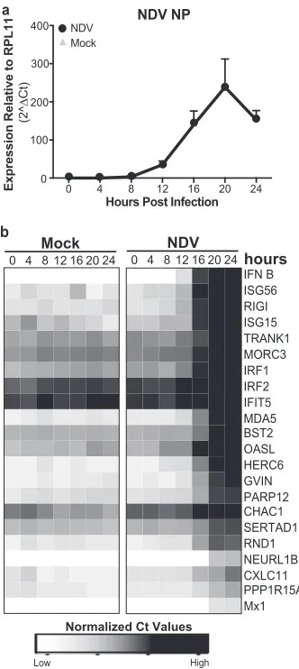 FIG 4 Conﬁrmation of genes upregulated during NDV infection of PVK4cells. (a and b) qRT-PCR for gene expression in PVK4 cells infected withNDV at an MOI of 2