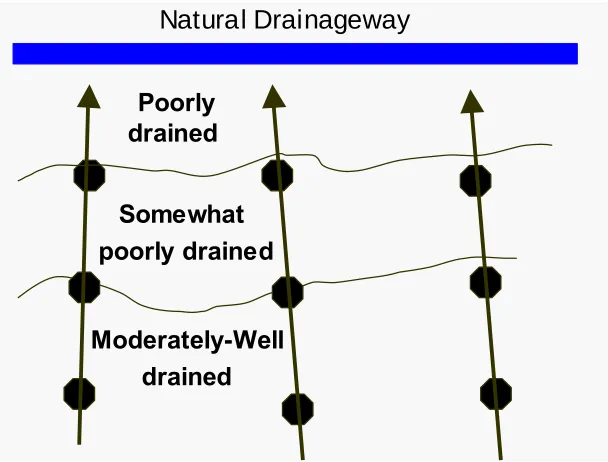 Figure 3.2 their landscape positions. The moderately well drained positions were highest in elevation, sloping downward though the somewhat-poorly drained plots, toward Generalized layout of soil plots (octagons) along transects and the lowest point on the